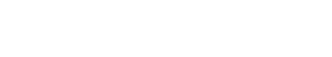St. Stephen's Academy Logo